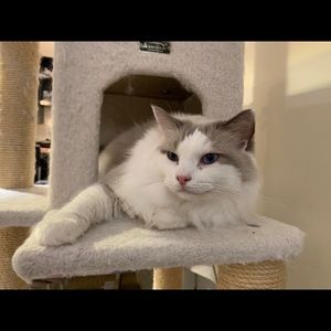 Meet your Posher, Max